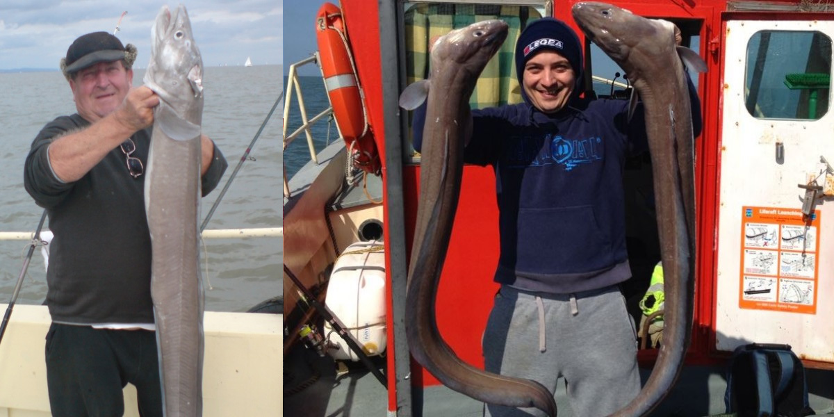 Tunnara Charters Conger Eel Fishing