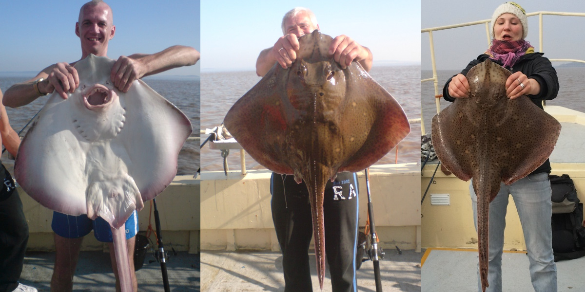 Tunnara Charters Ray Fishing