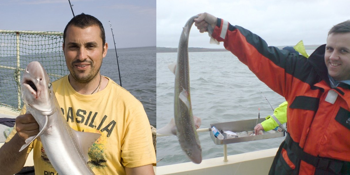 Tunnara Charters Smoothhound Fishing