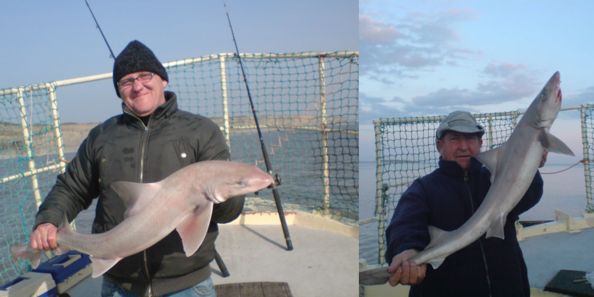 Tunnara Charters Smoothhound Fishing