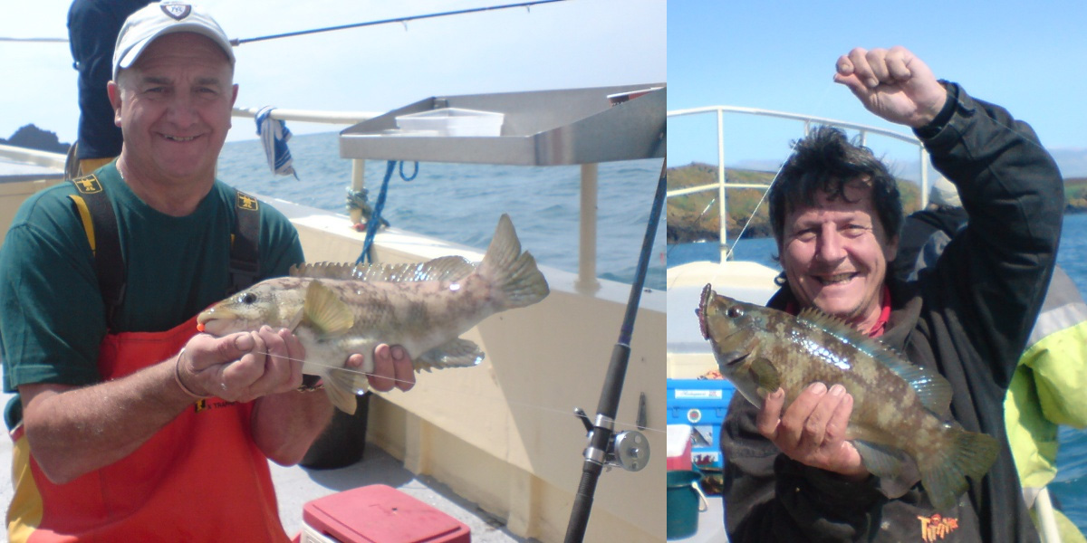 Tunnara Charters Wrasse Fishing