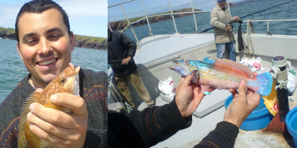 Tunnara Charters Wrasse Fishing